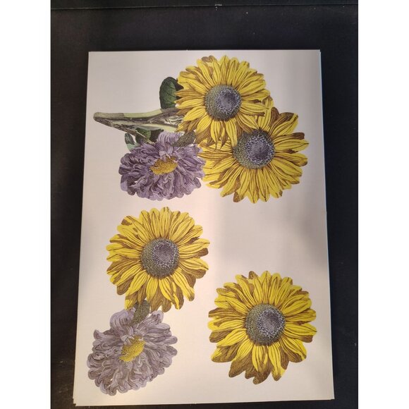 Anna Griffin Die Cut Paper Flowers 46 Sheets Sunflower Iris Carnation Scrapbook - Picture 2 of 7